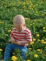 mitglieder/newlive/alben/engel-album13/bluemchen-bild169.JPG